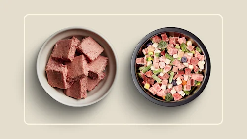 WFR we feed raw vs maev 1