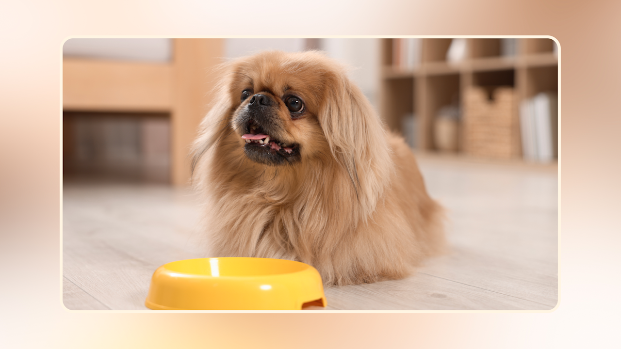 Hero Small Breed Diet v3