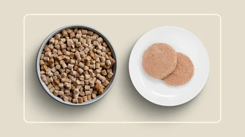 WFR we feed raw vs vs stella-patties