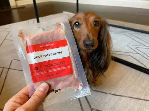 ingredients-for-healthy-dogs-scaled