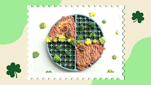 ST. PATRICK-S DAY BOWLBRAG