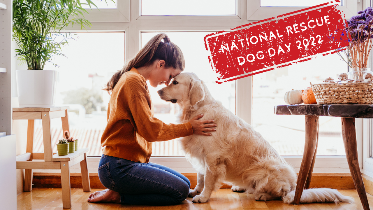 Dog Mom + Rescue dog 