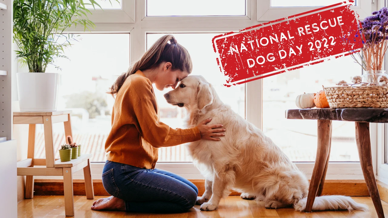 Dog Mom + Rescue dog 