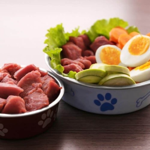 raw-dog-food-1150x700