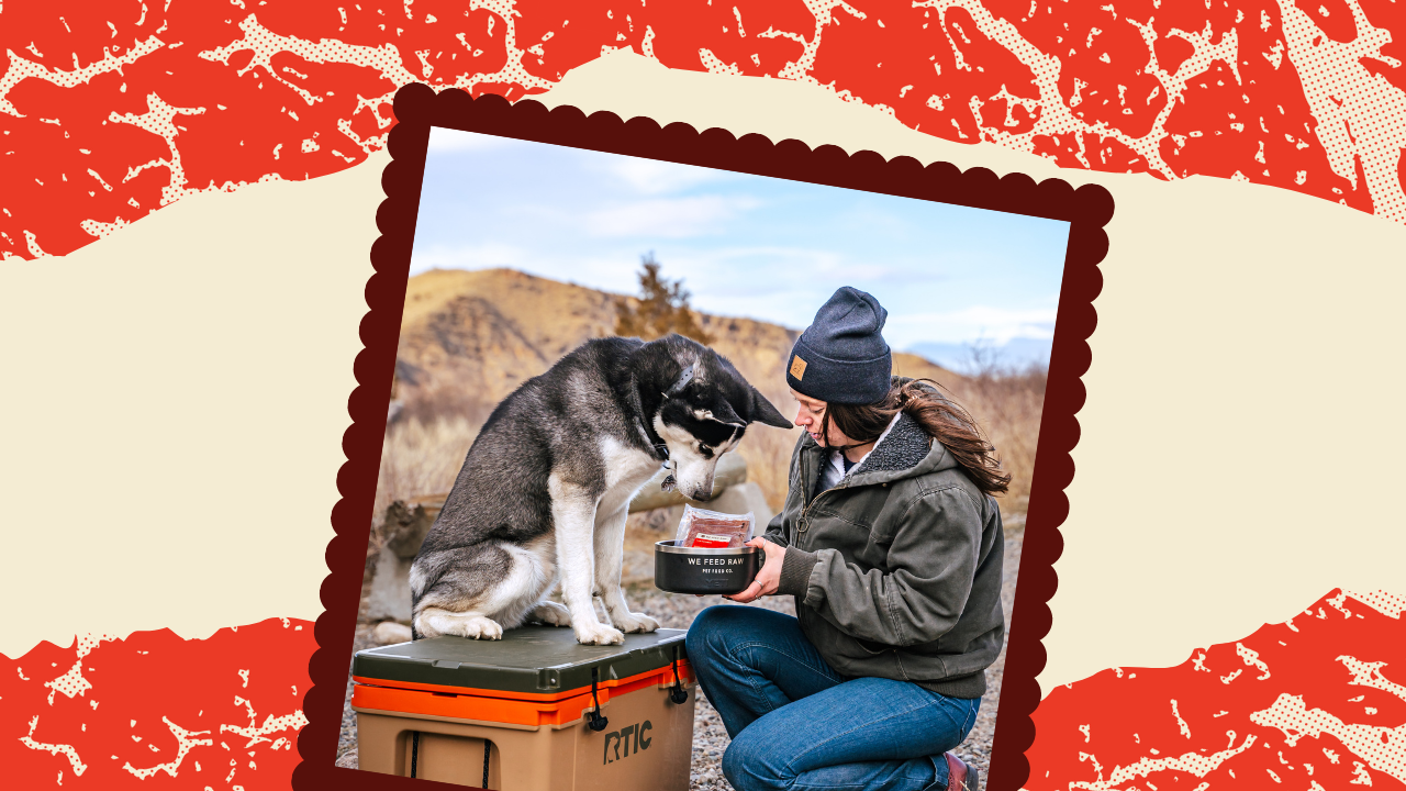 The Complete Guide to Switching Your Dog to a Raw Diet from Kibble
