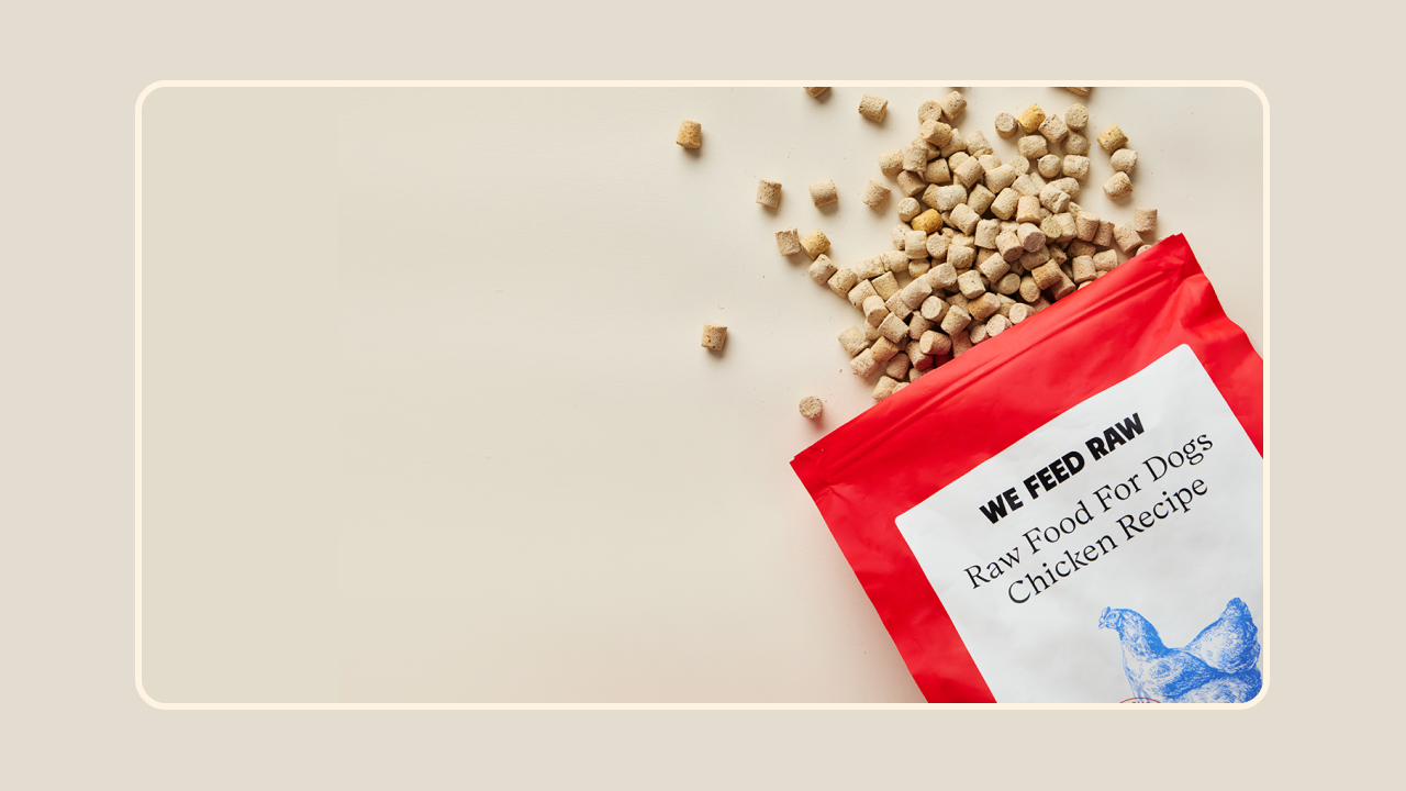 How is freeze-dried raw dog food made?