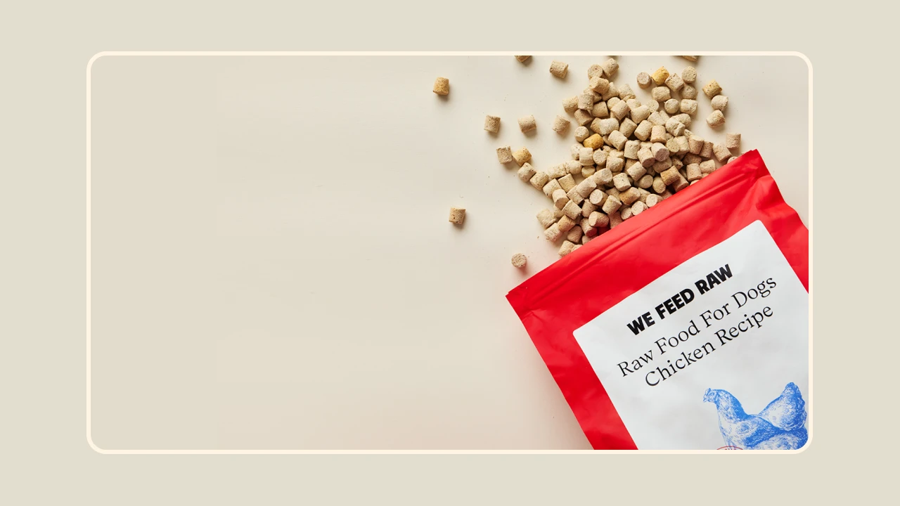 How is freeze-dried raw dog food made?