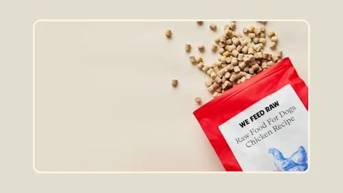 How is freeze-dried raw dog food made?