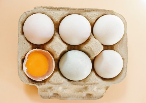 Benefits of giving dogs raw outlet eggs