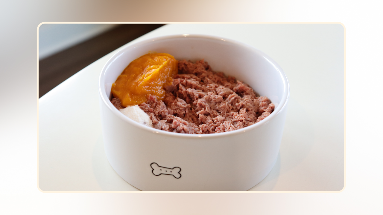 Hero Raw Dog Food Comparison v1