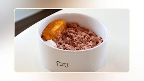 Hero Raw Dog Food Comparison v1