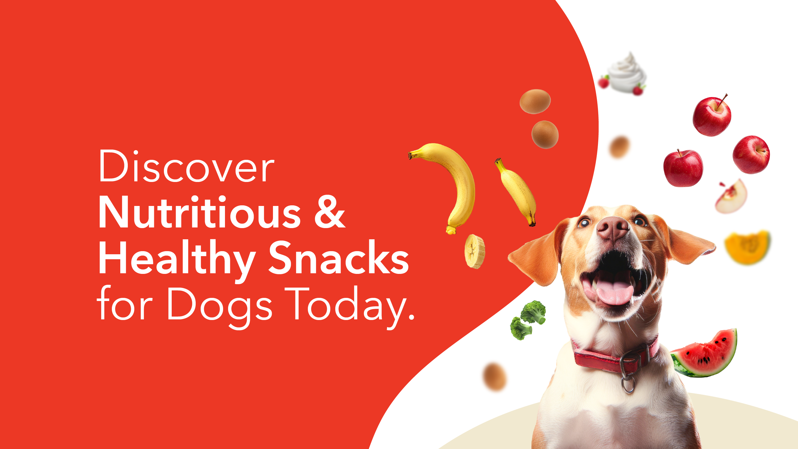 Discover Nutritious Healthy Snacks for Dogs Today