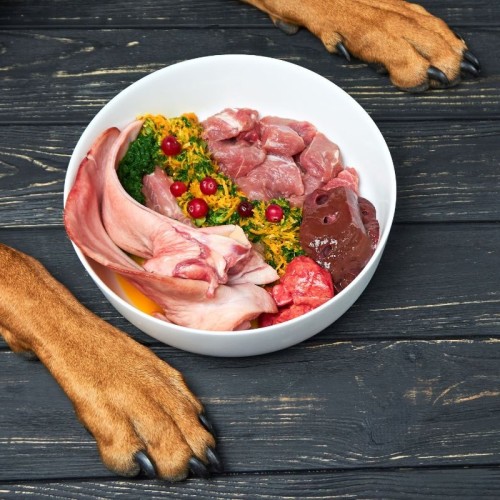 Raw Meat For Dogs