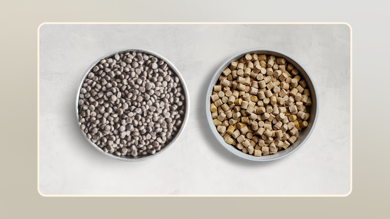 Freeze Dried Raw vs Kibble