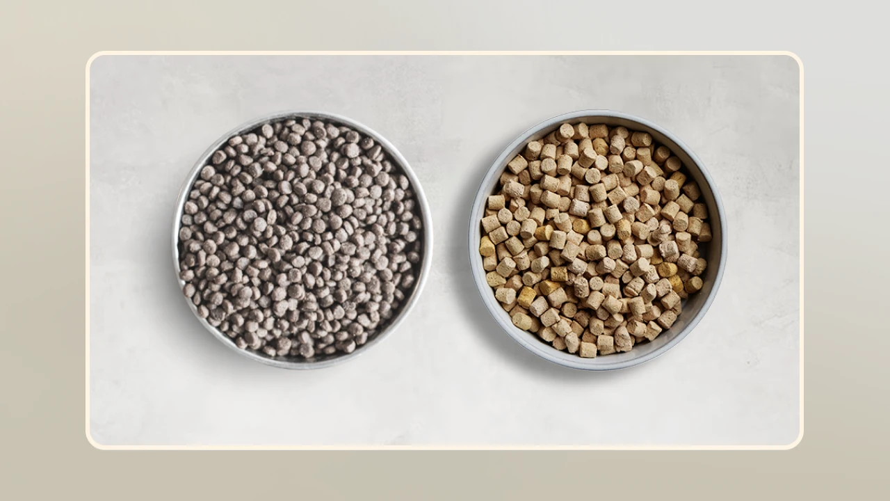 Freeze Dried Raw vs Kibble