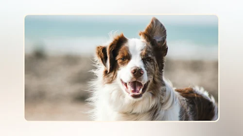 Hero Maximize Wellbeing v1