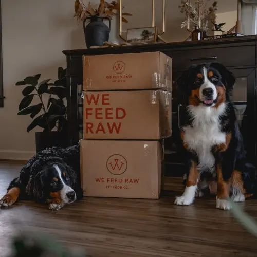 We Feed Raw Boxes