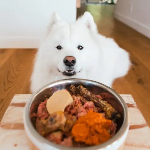 Raw Food