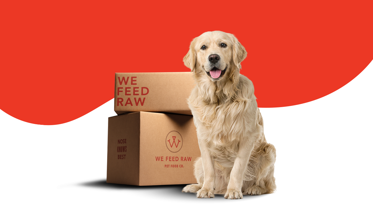 Puppy food delivery best sale