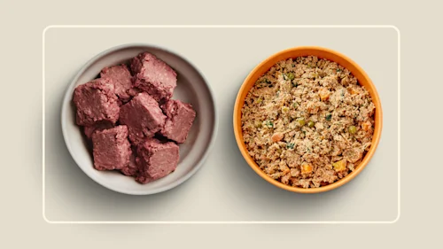 WFR we feed raw vs ollie