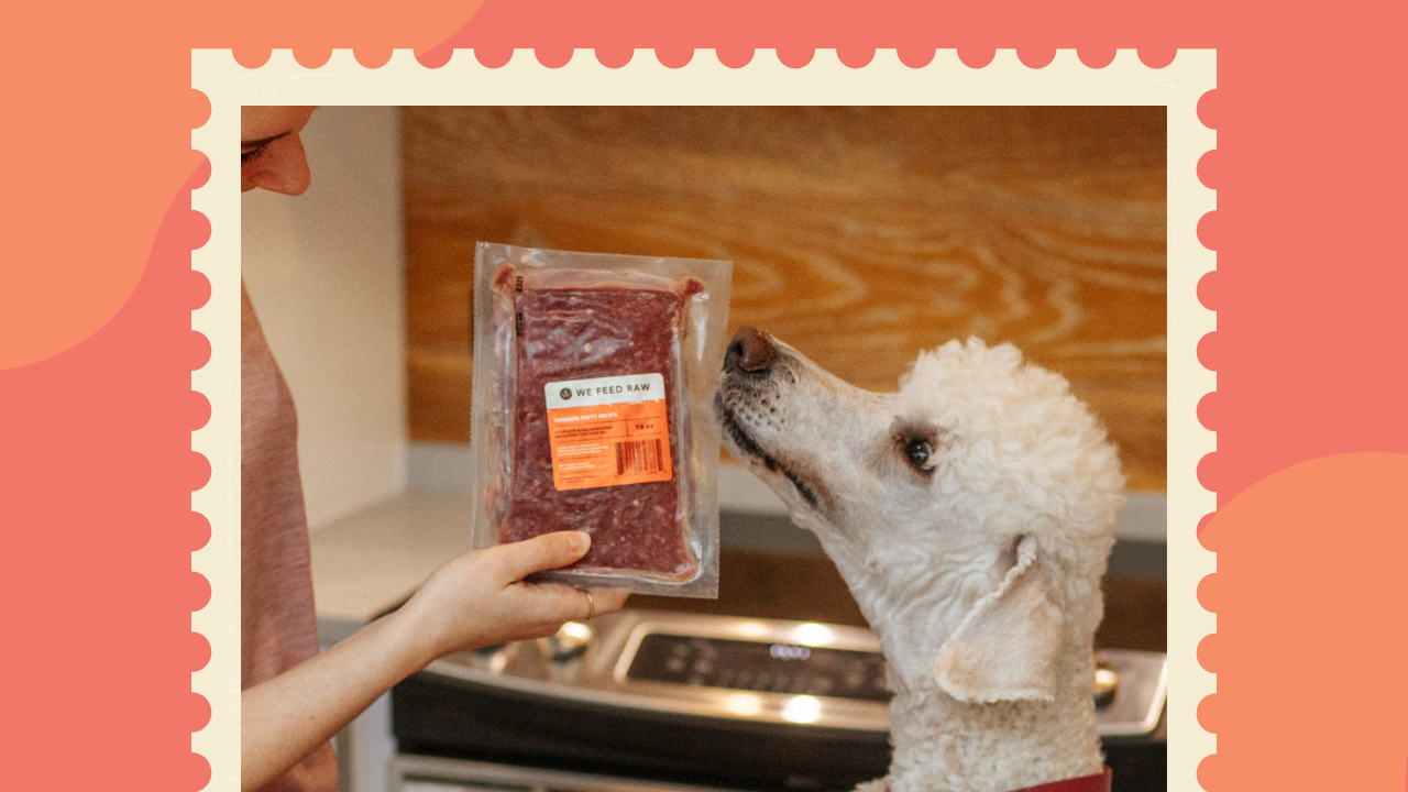 Top Ten Reasons To feed Your Dog raw
