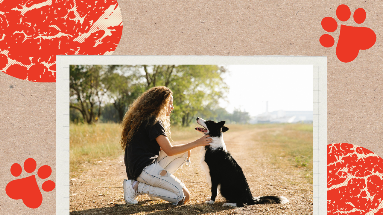 The Top 7 Ways to Spoil Your Dog