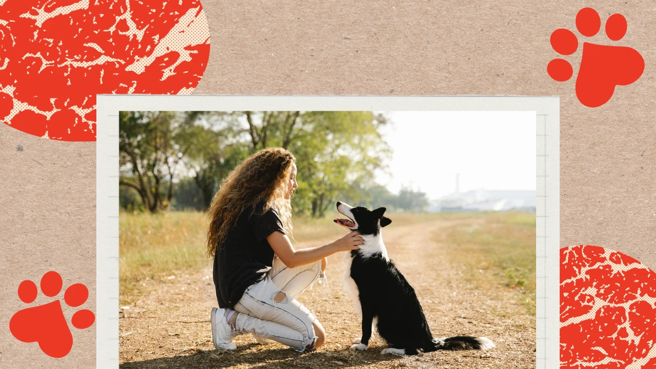The Top 7 Ways to Spoil Your Dog