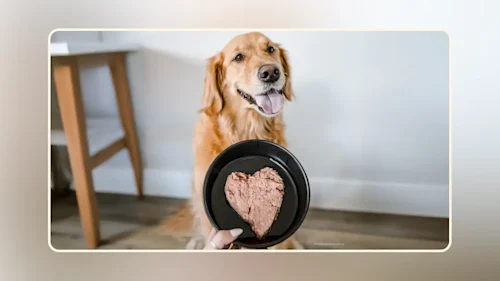 Hero Is raw food good for dogs v1