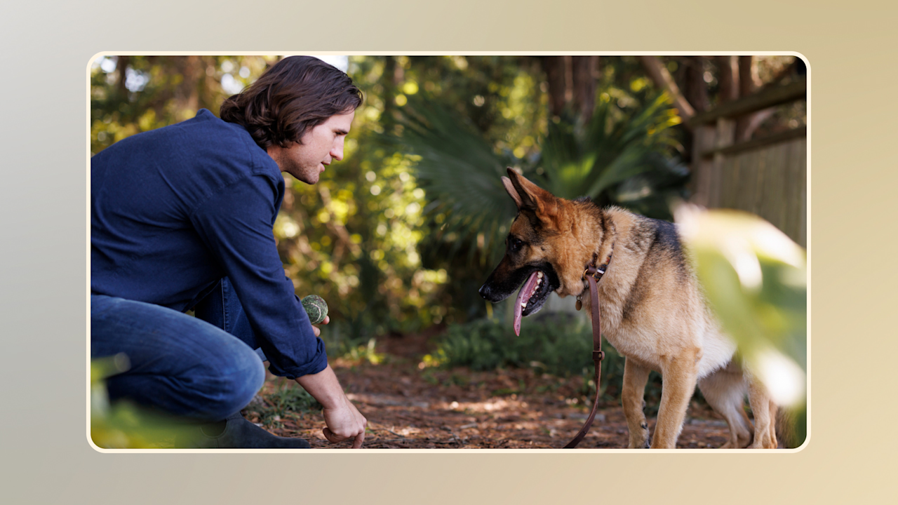 Hero How Much Exercise Does a Dog Need v1