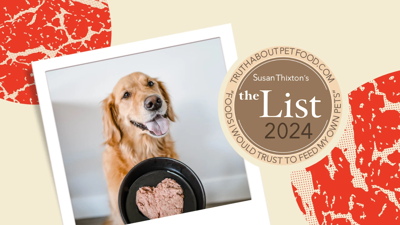 Susan Thixtons The List
