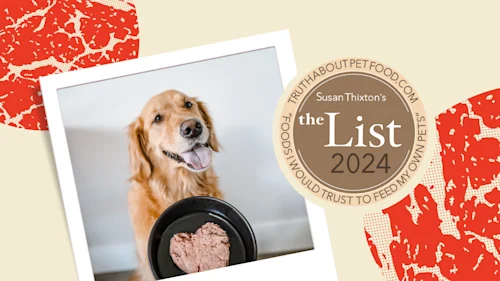 Susan Thixtons The List