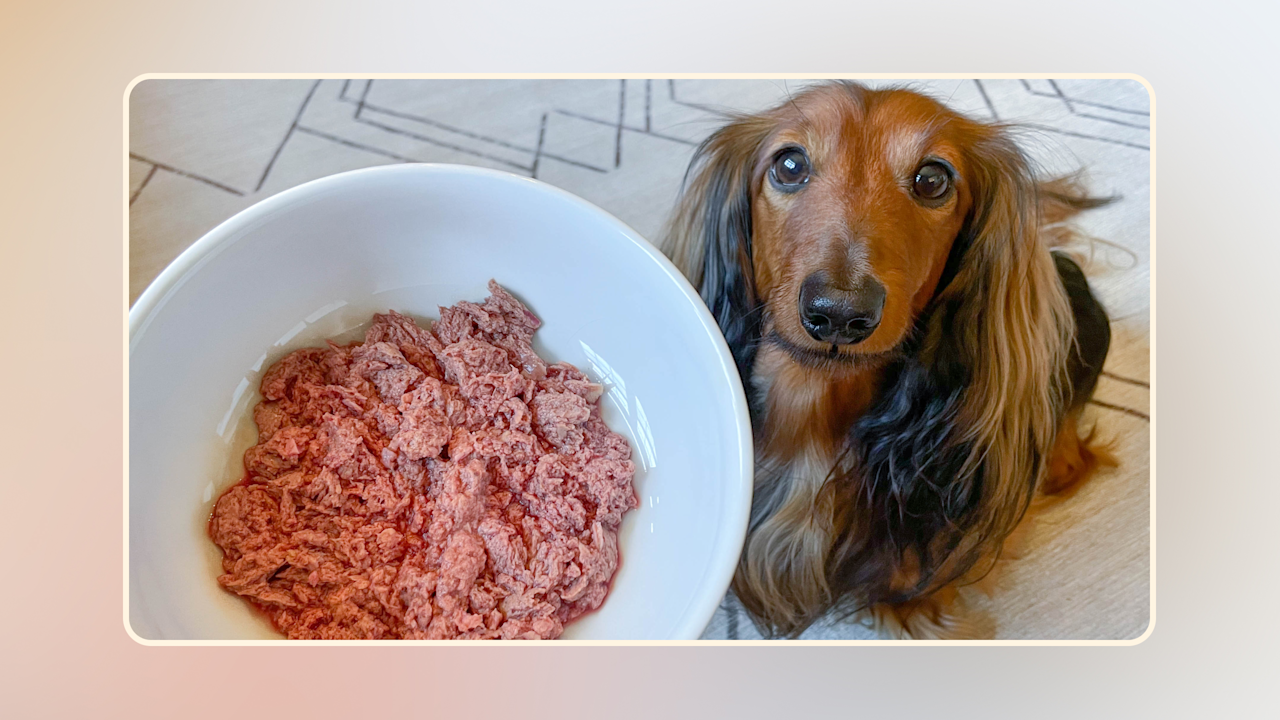 Hero Best Dog Food for Allergies v2(1)