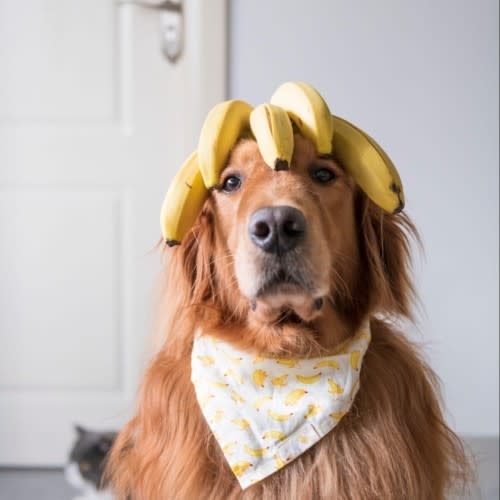 Banana Peels