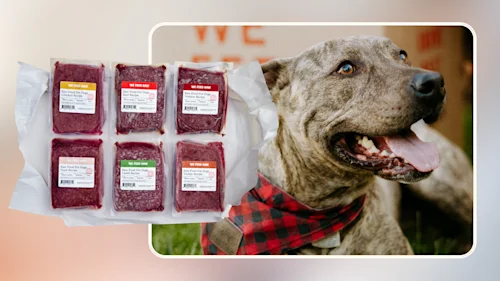 Hero Comprehensive Guide to Feeding Dogs Raw Food v2