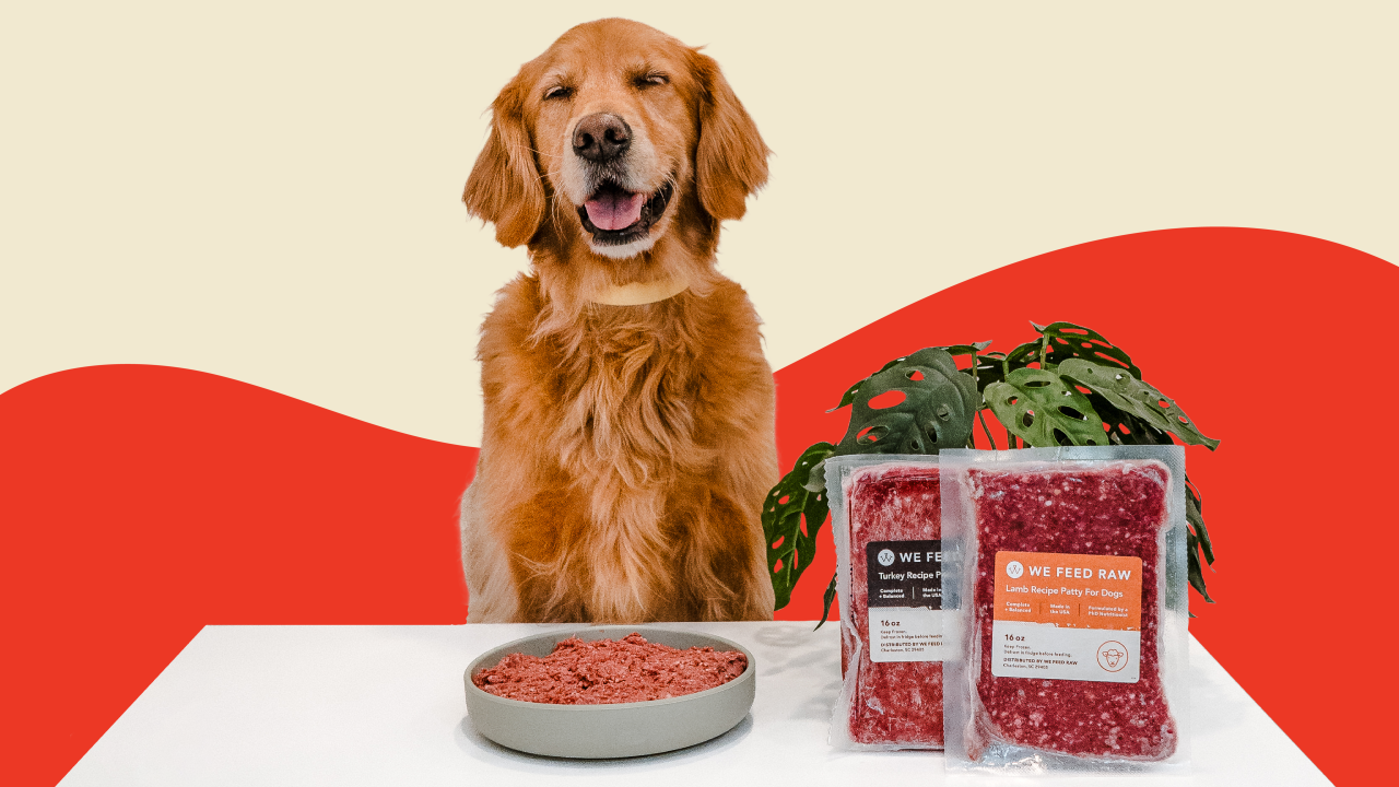 Benefits of Raw Dog Food Why It s Best for Your Pet