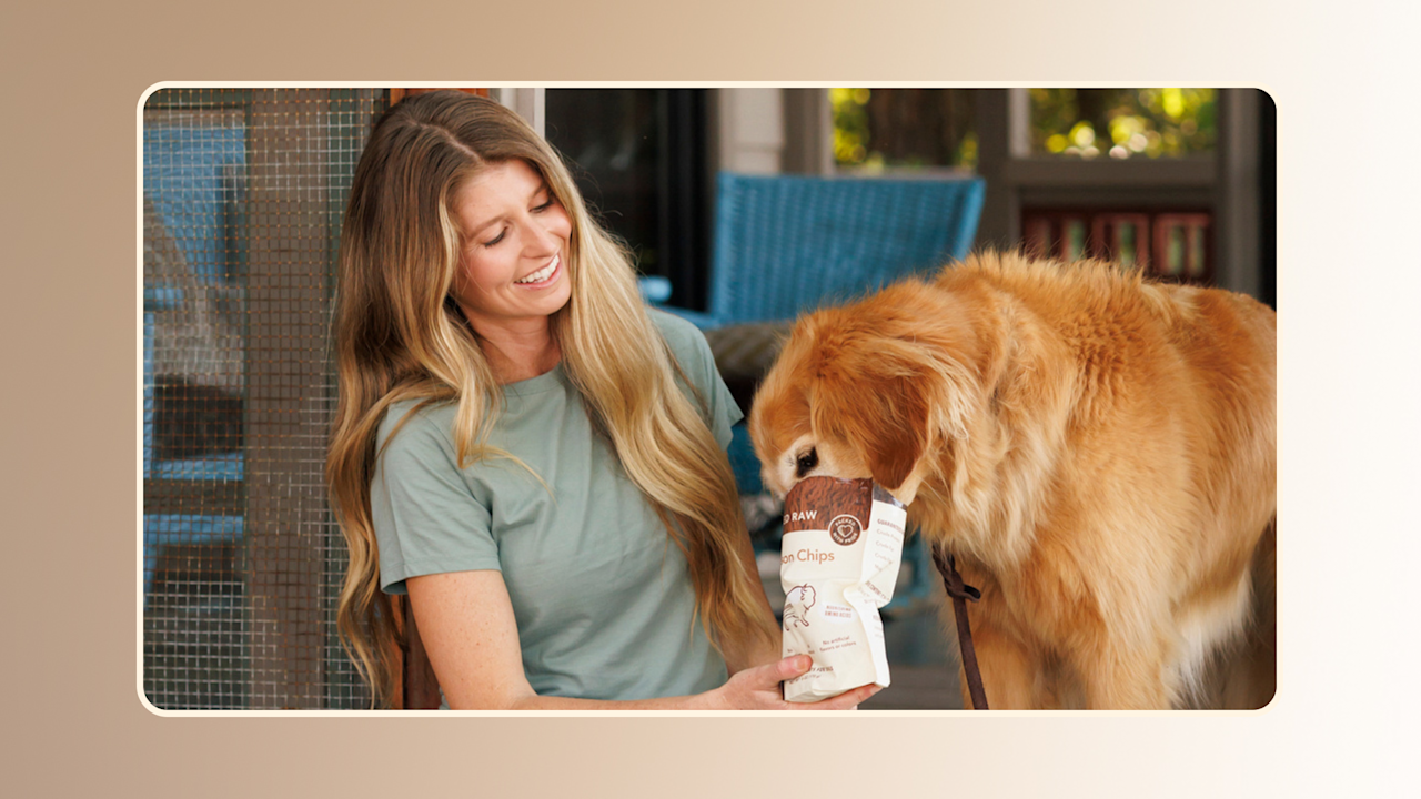 Hero Selecting the Healthiest Dog Treats for Your Furry Friend v1