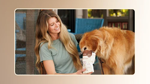 Hero Selecting the Healthiest Dog Treats for Your Furry Friend v1