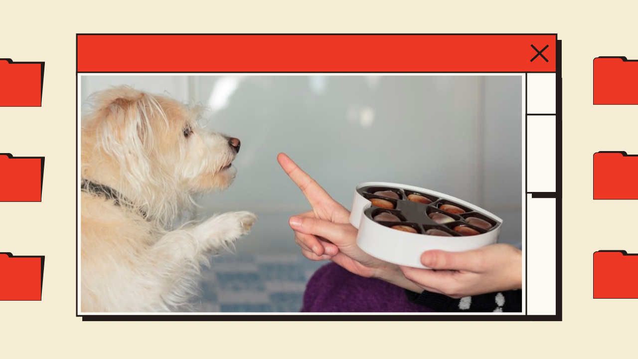 20 foods Harmful to Dogs