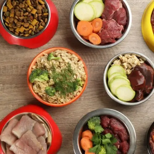 Food Bowls