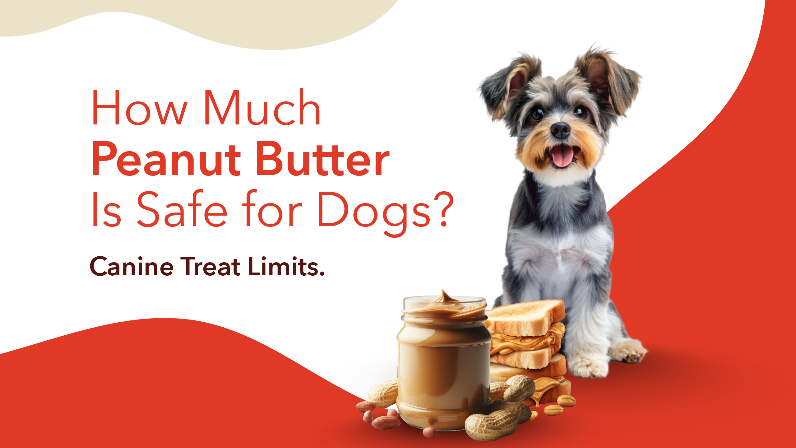 How Much Peanut Butter v2