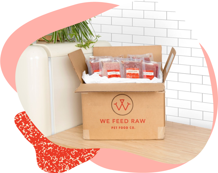Raw food for dogs by We Feed Raw