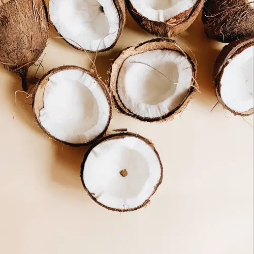 Coconut cut in half showing white flesh