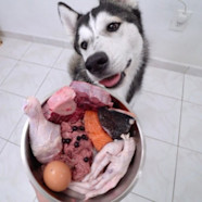 Most Affordable Raw Dog Food Online Laseb fae ufmg br