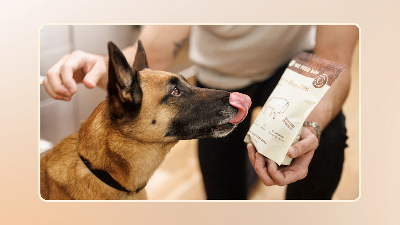 Hero The Importance of Choosing the Best Dog Treats v1