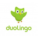 duolingo e-learning platform logo
