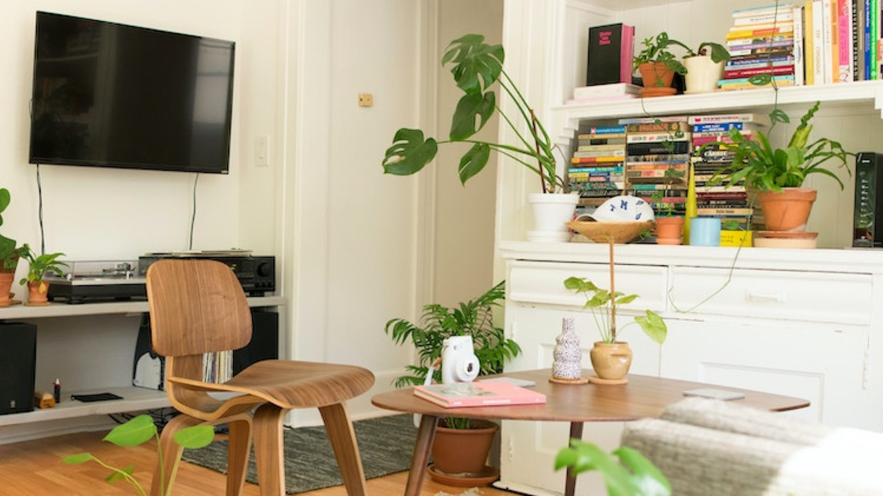 Ein Wohnzimmer, das mit Büchern und Pflanzen gefüllt ist