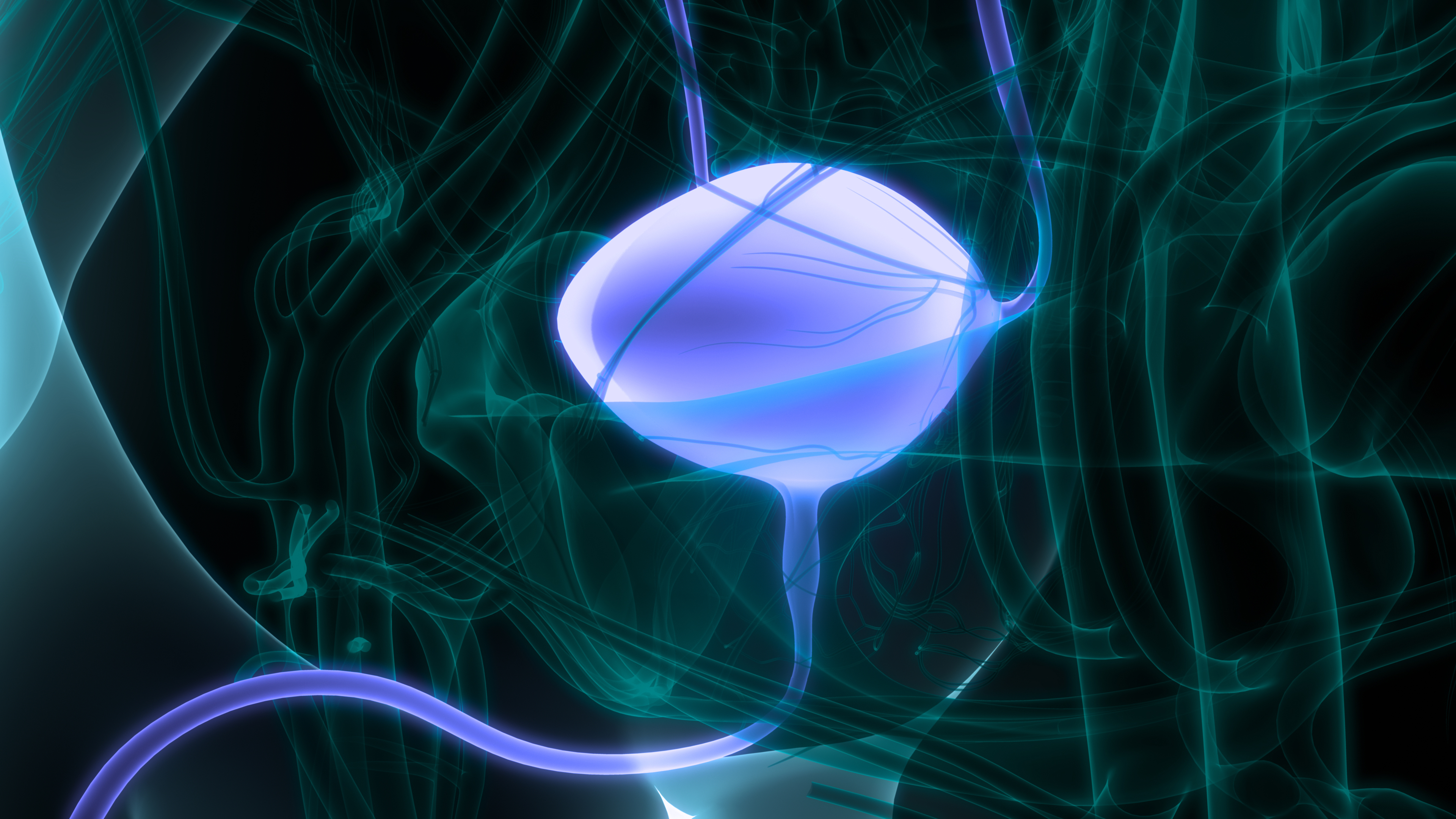 Understanding Different Types of Bladder Conditions
