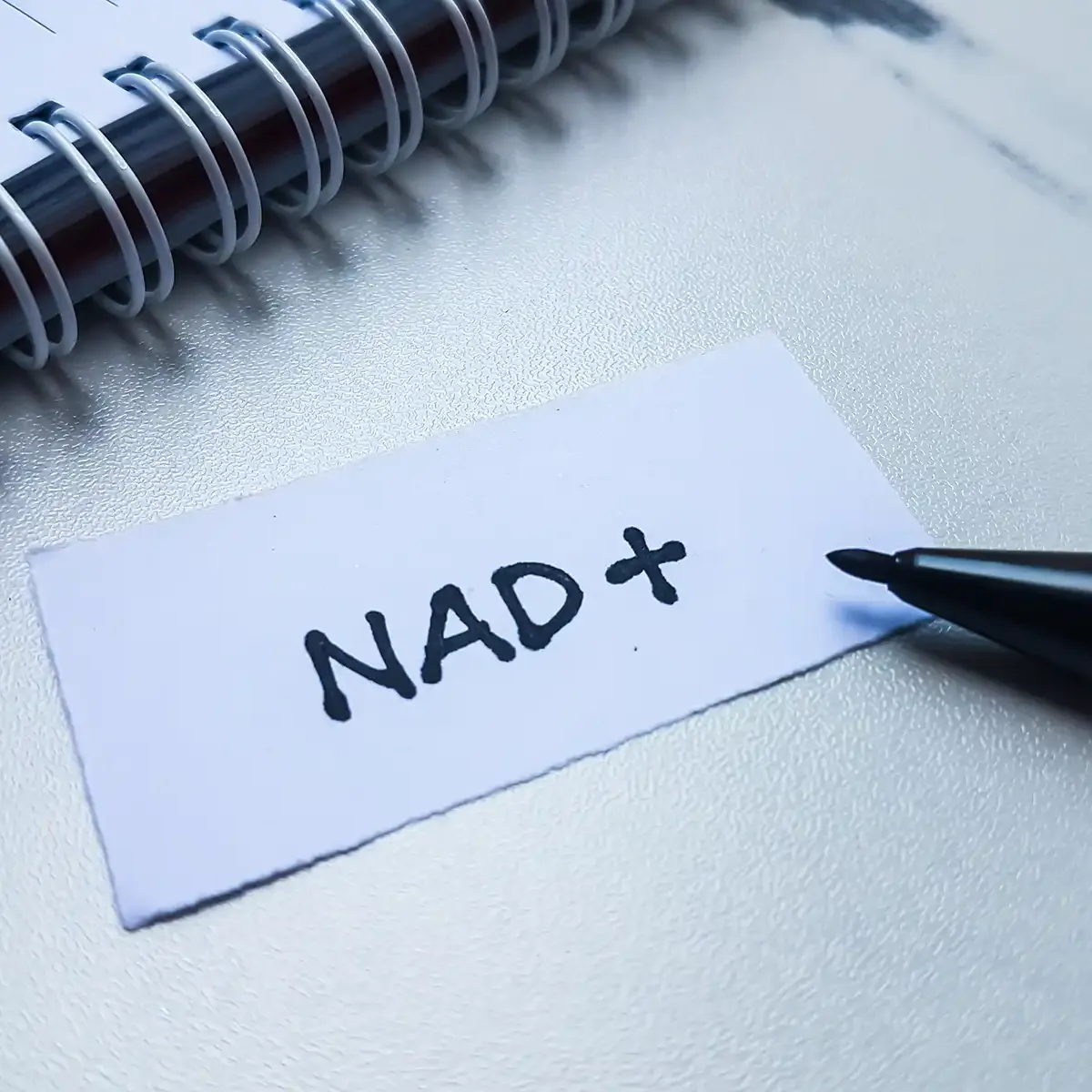 NAD+ written on a small piece of paper