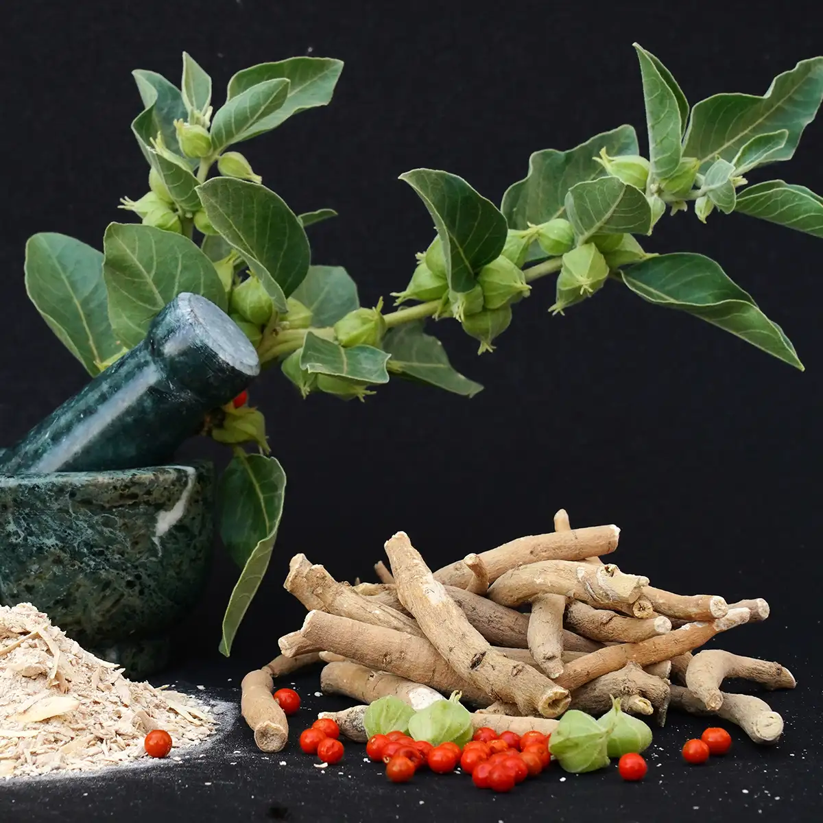 Ashwagandha leaf, powder and roots