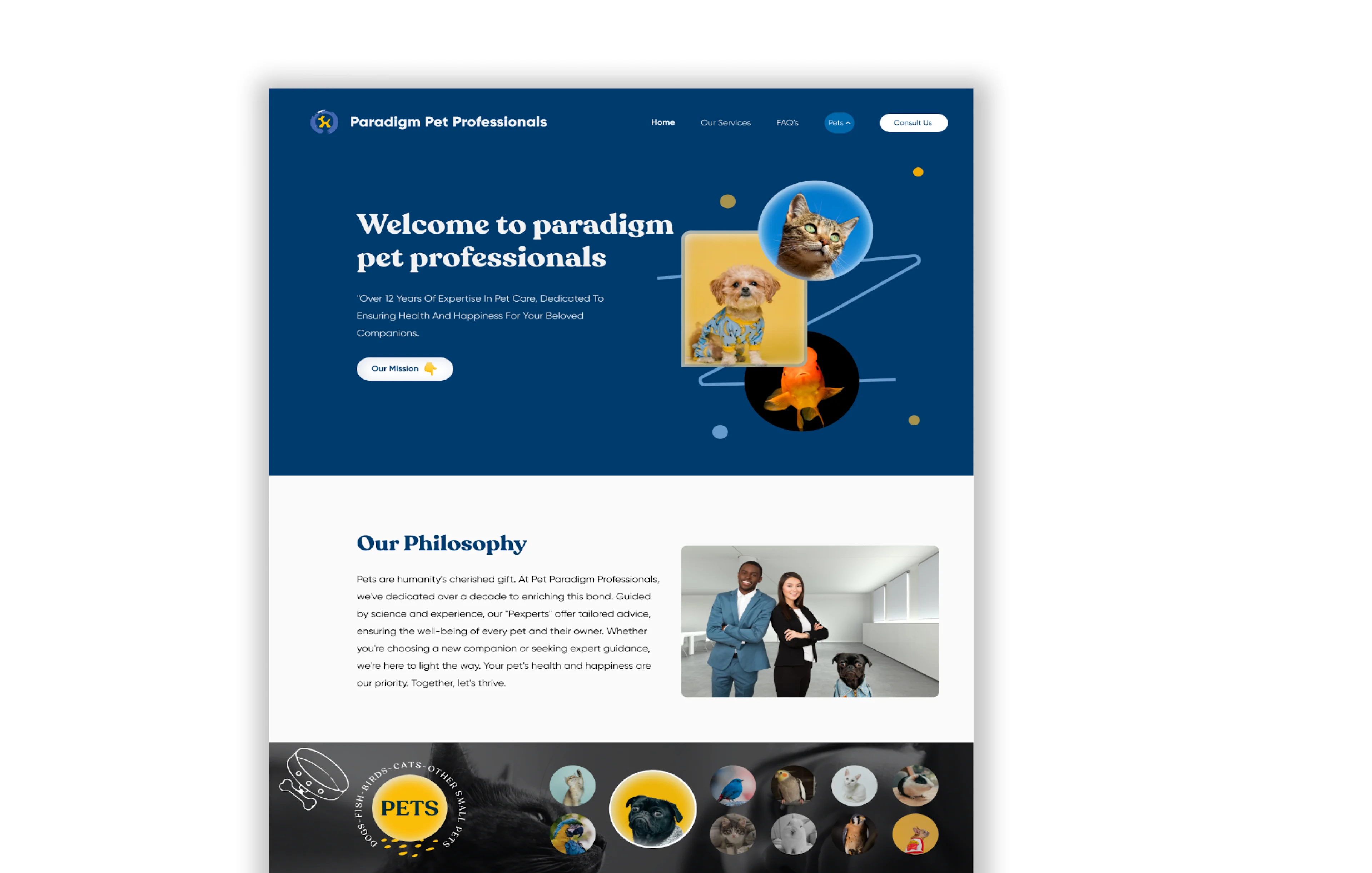 Portfolio image